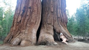 Athena Demos Photo #396