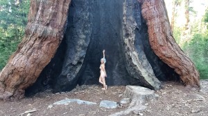 Athena Demos Photo #403