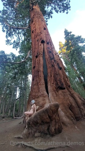 Athena Demos Photo #409