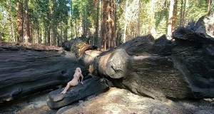 Athena Demos Photo #414