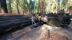 Athena Demos Photo #416