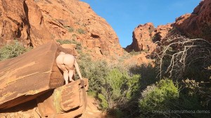 Athena Demos Post #19