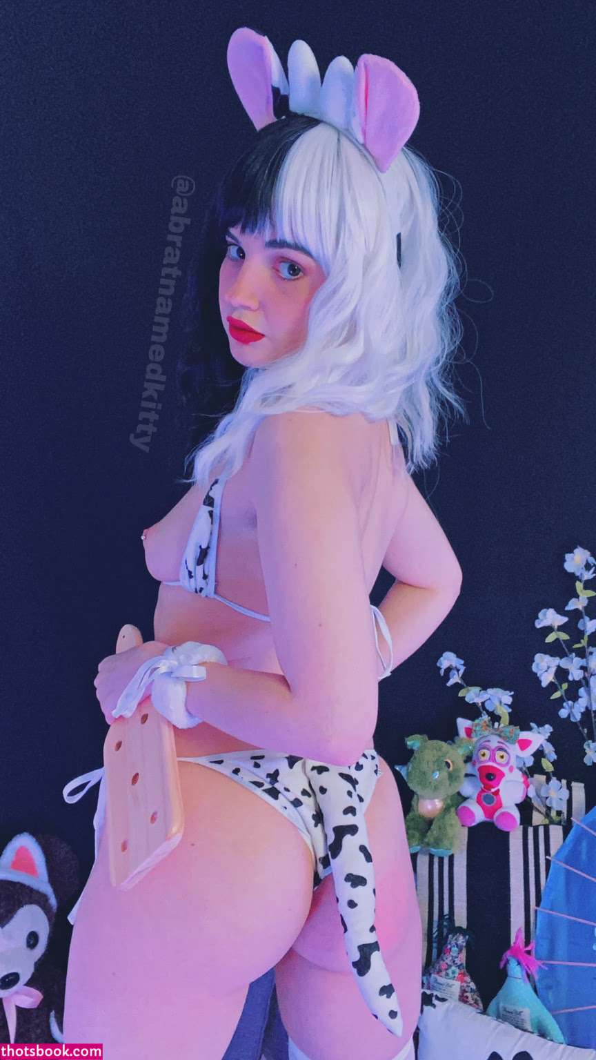 Kittykommander Photo #16