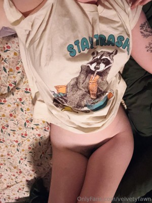 velvetyfawn Photo #17