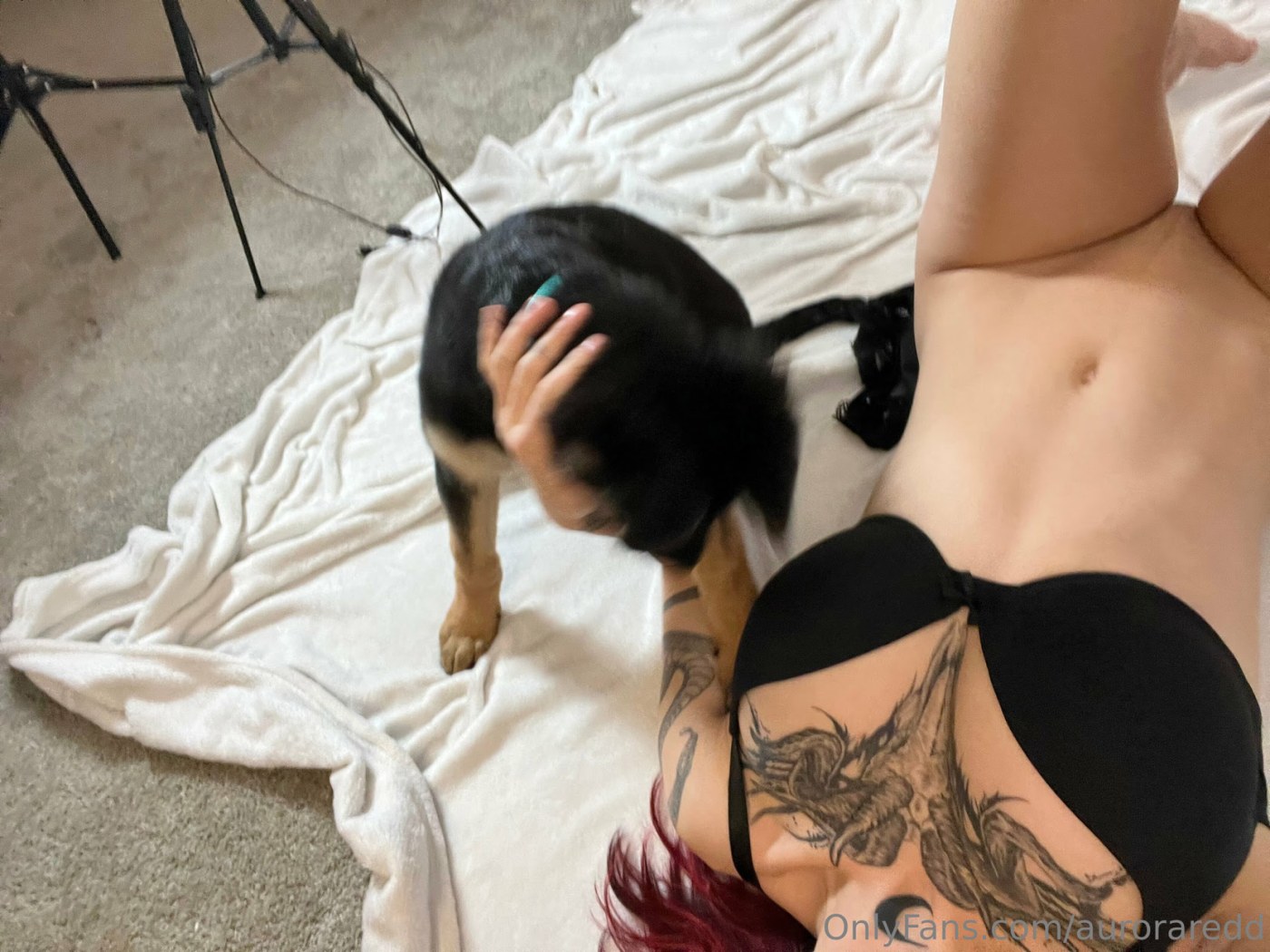 Auroraredd Photo #73