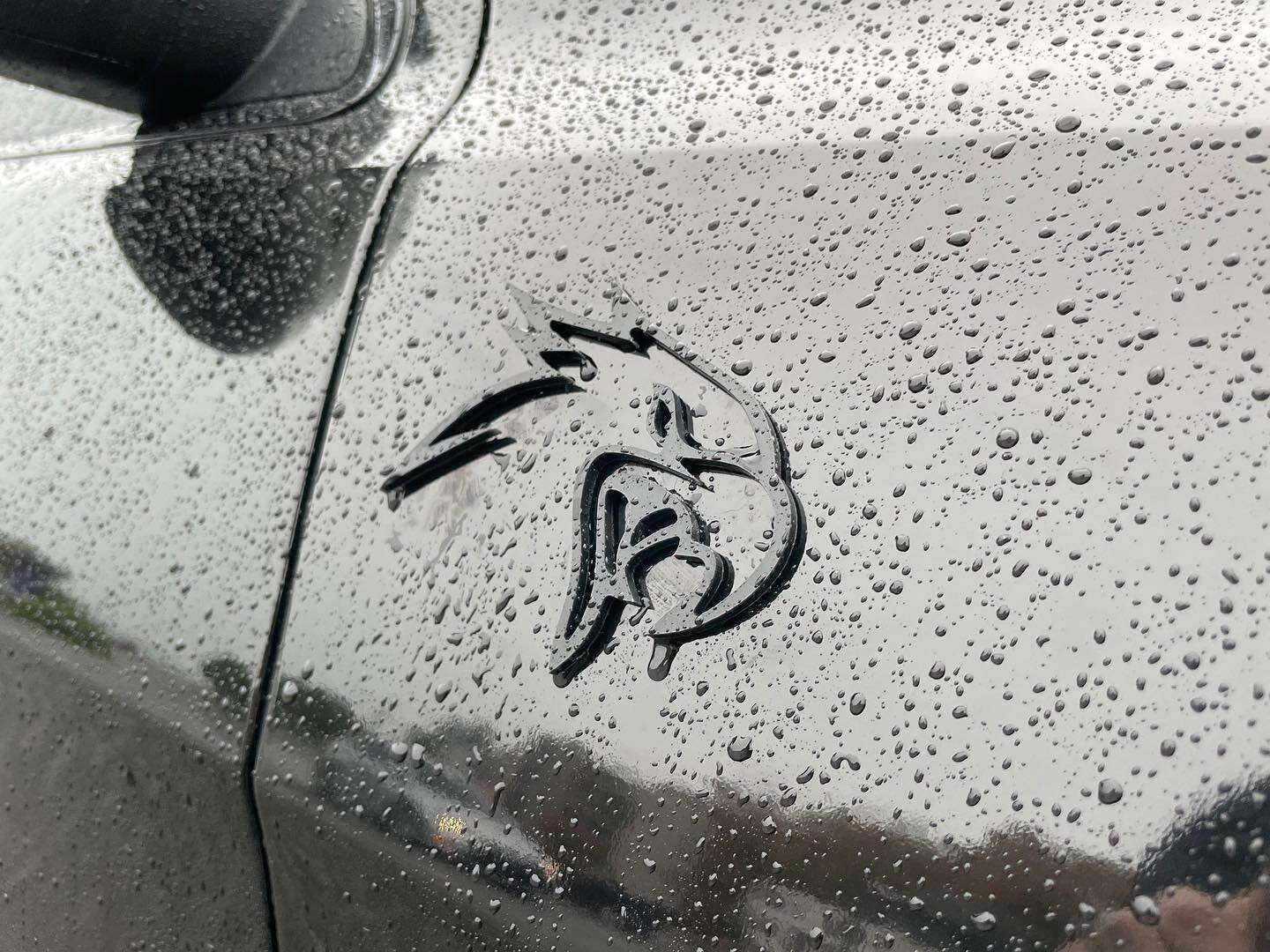 Brooke Michelle Photo #20