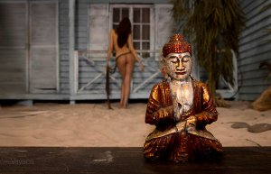 Pma Ogram Photo #169