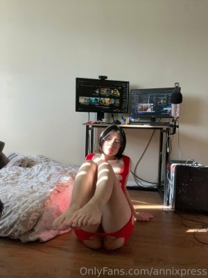 annixpress Photo #22