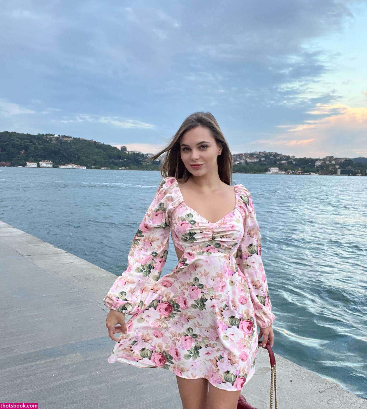 Avomixam Anirbaytko Photo #20