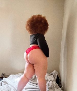 Nikkie Ginger Photo #15