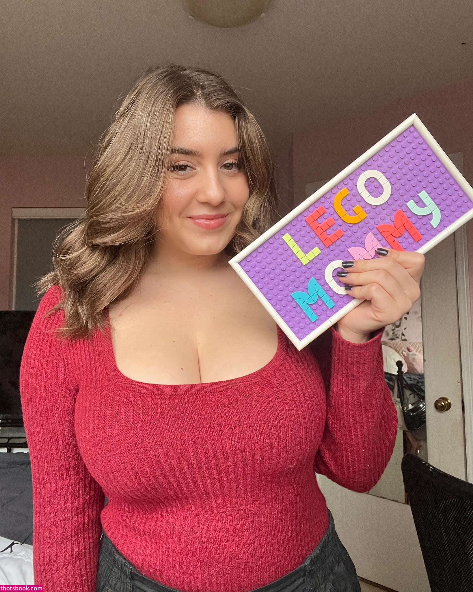 thelegomommy Photo #18