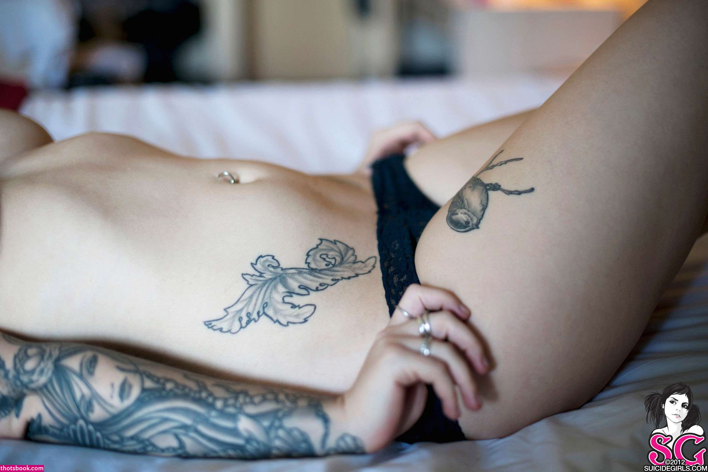 Sash Suicide Photo #206