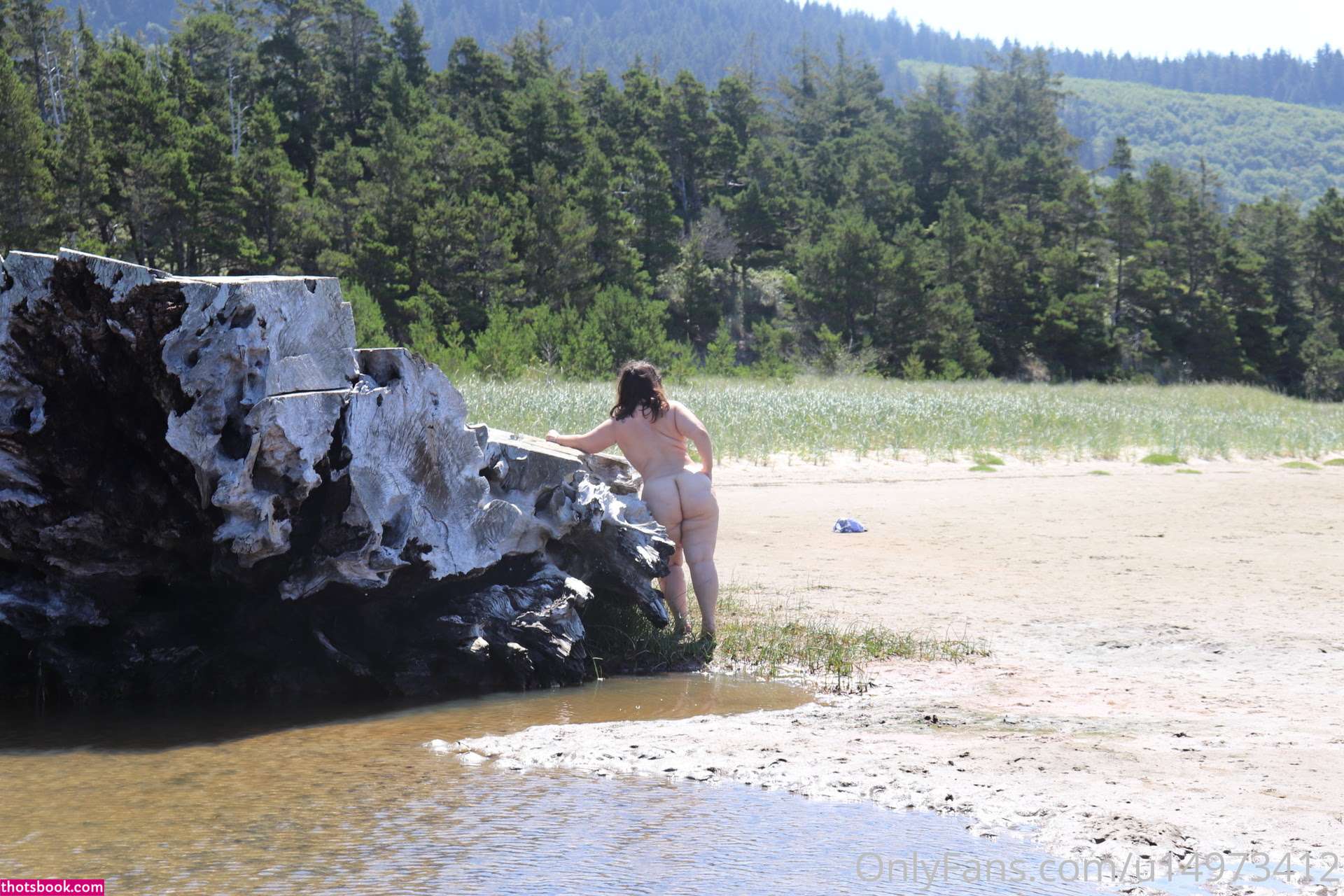 Ana Pessack Photo #11