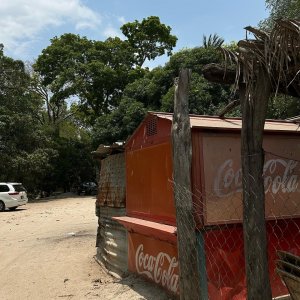 Mariana Grimaldi Photo #2