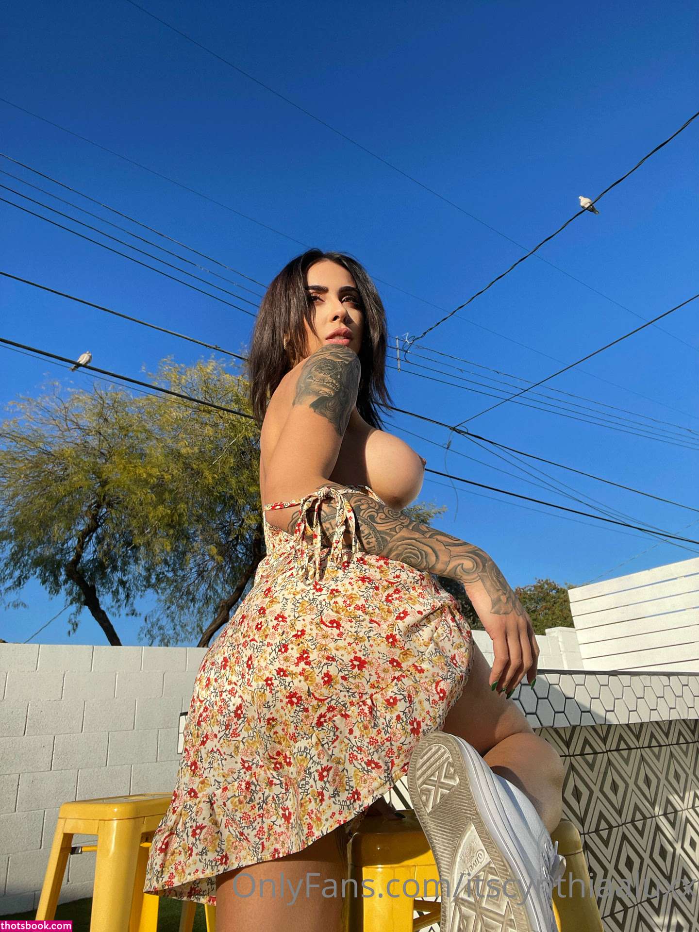 Cynthiaaluxx Photo #86