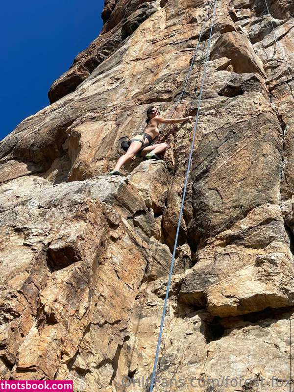 Forest Fox Photo #57