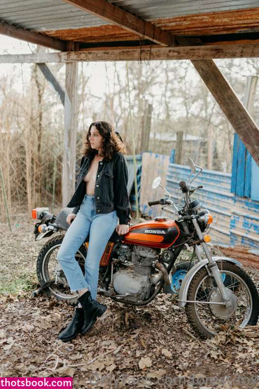 Forest Fox Photo #67