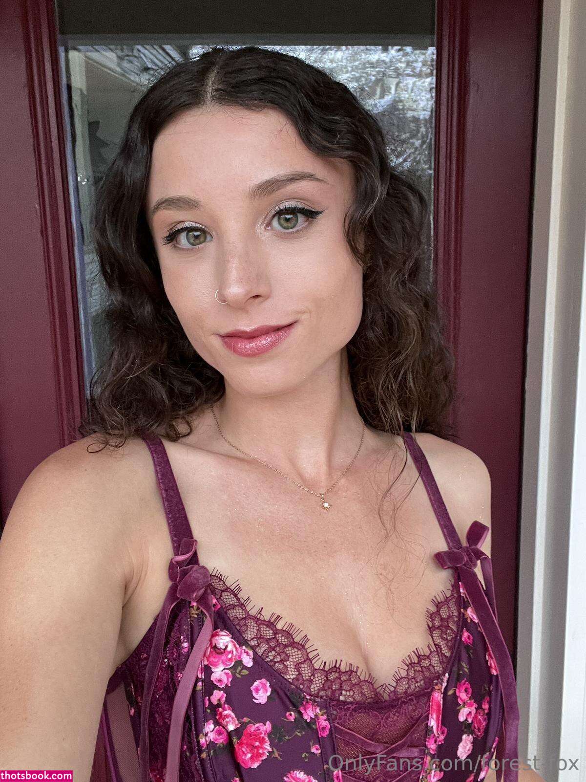 Forest Fox Photo #74