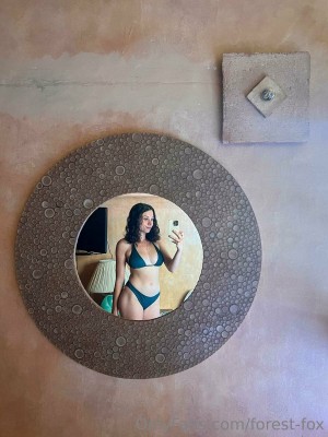 Forest Fox Photo #68