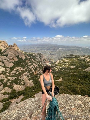 Forest Fox Photo #76