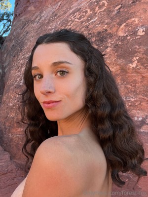 Forest Fox Photo #98