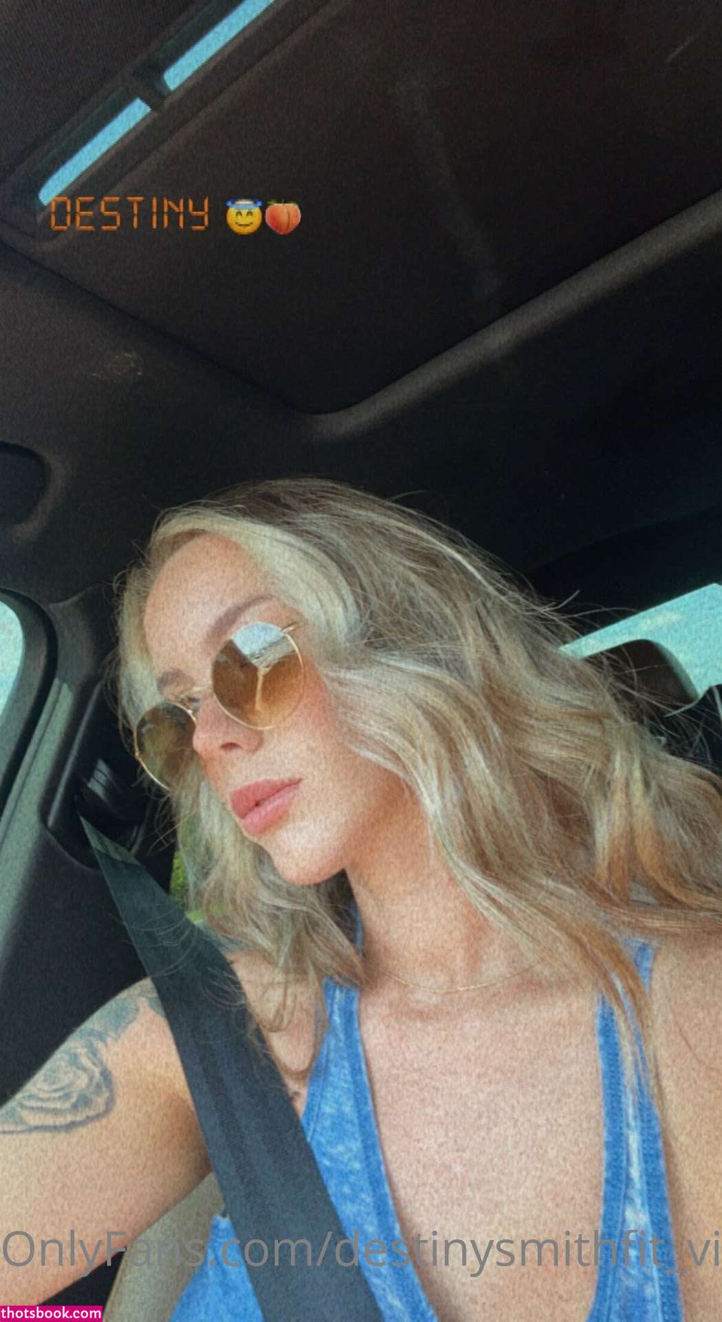 Destinysmithfit Photo #110