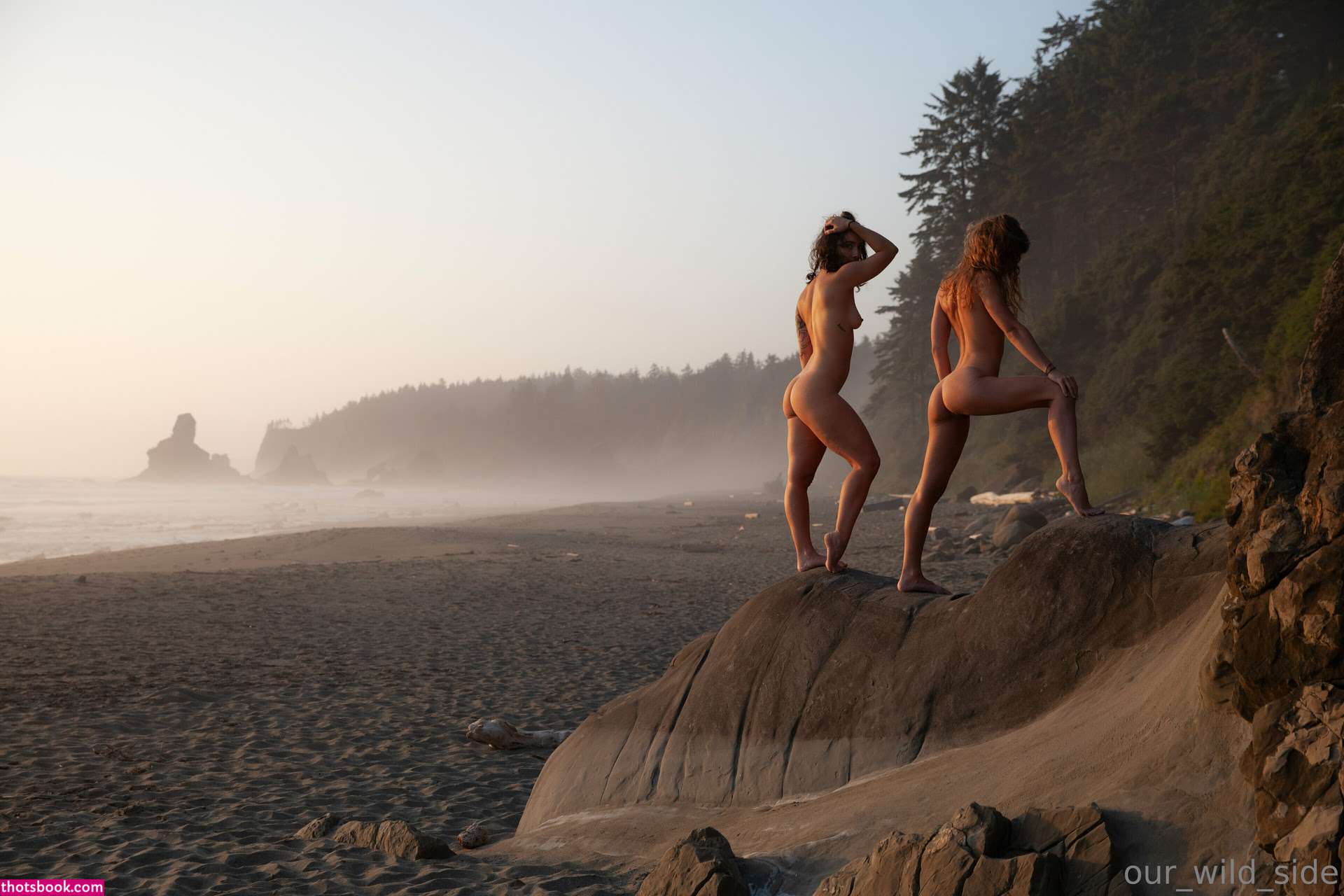 Ourwildside Photo #132