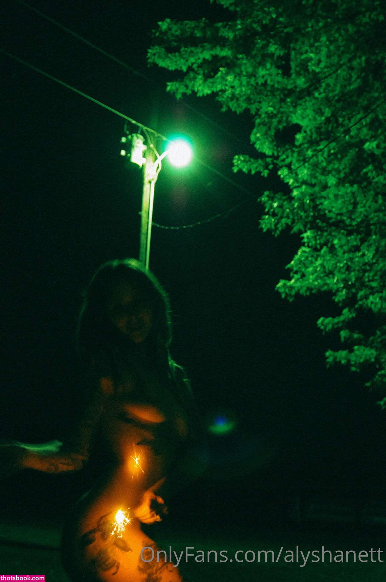 Alysha Nett Photo #309