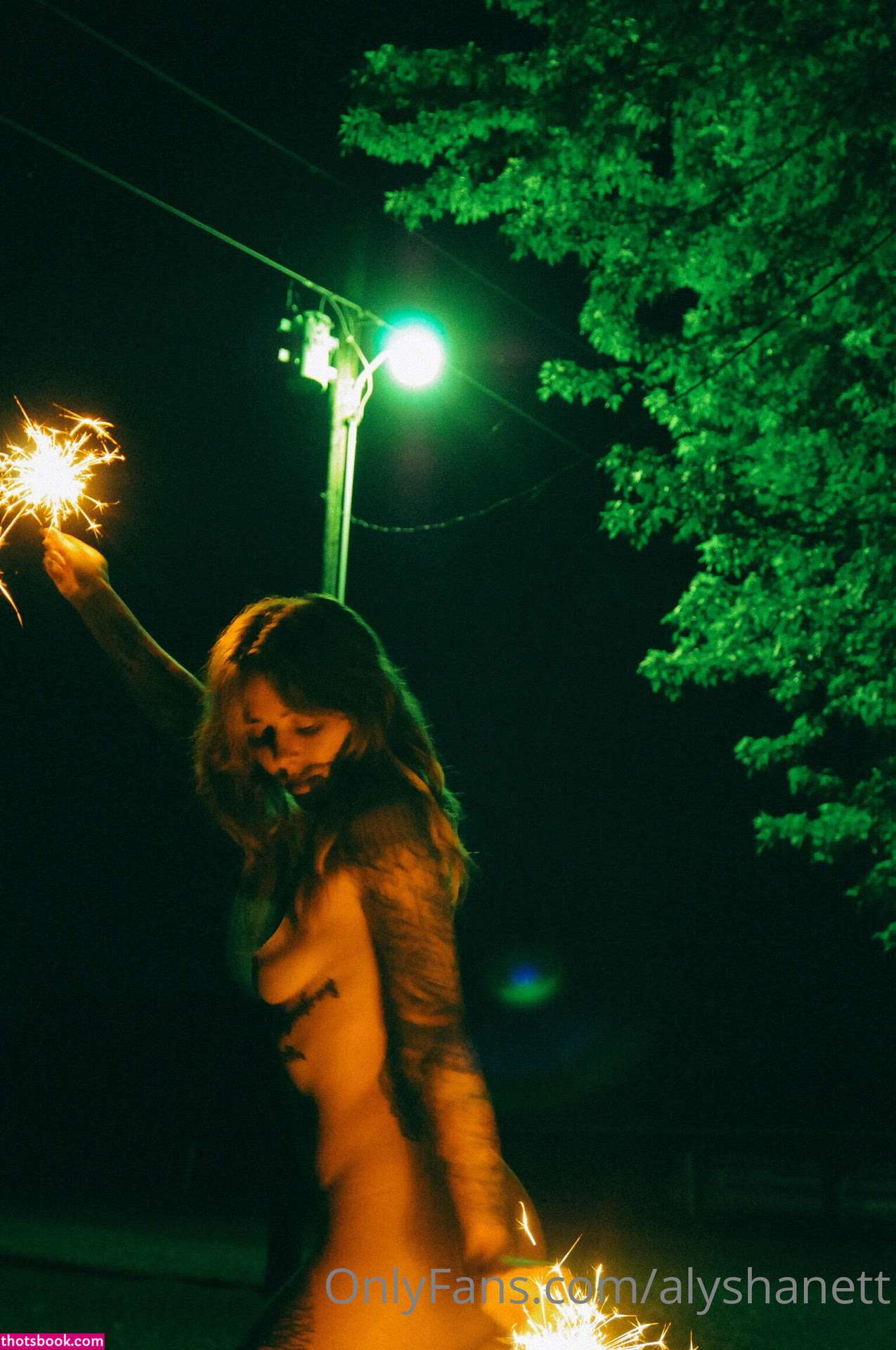 Alysha Nett Photo #310