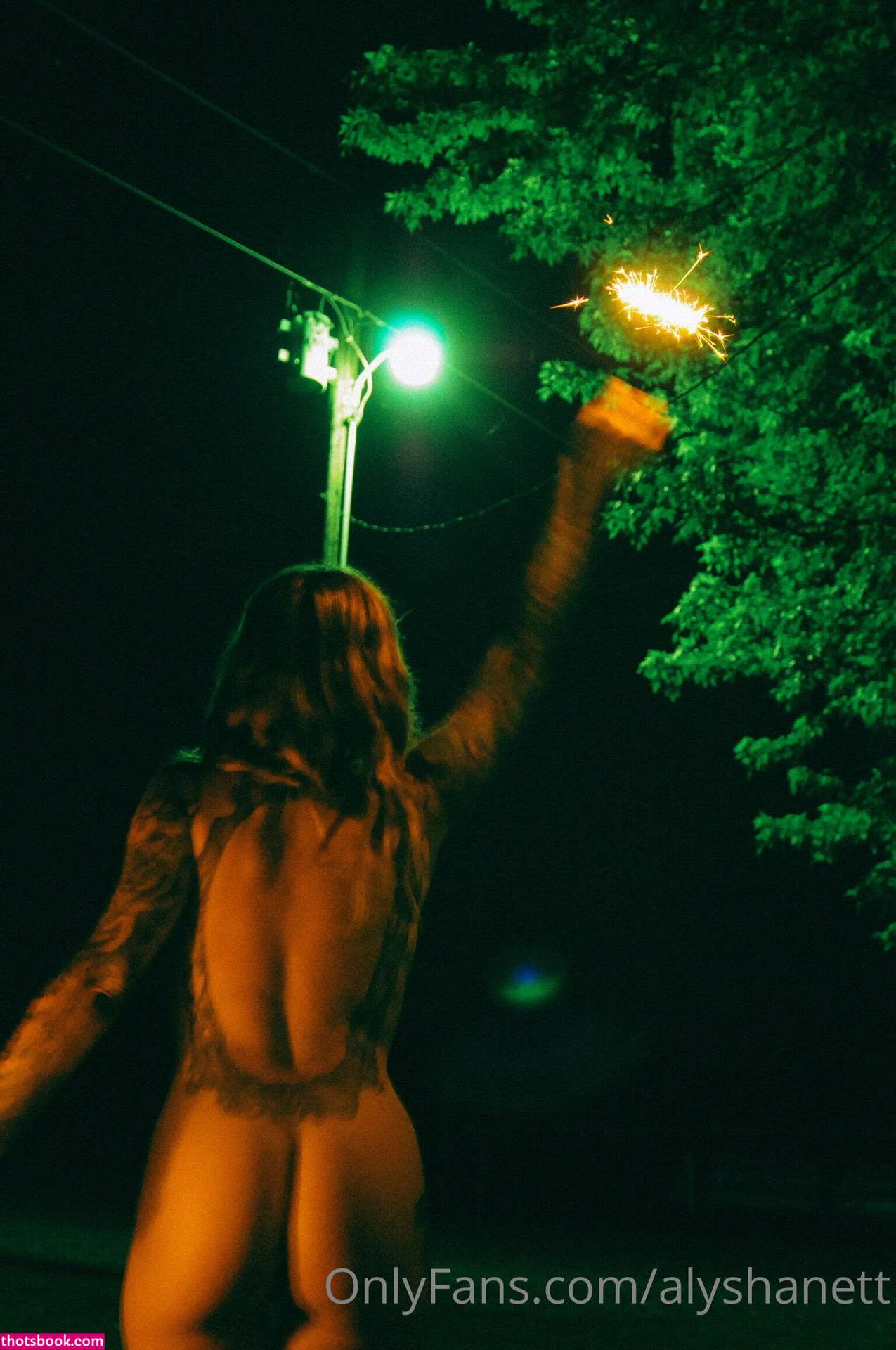 Alysha Nett Photo #313