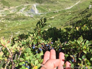 Lou Charmelle Photo #29