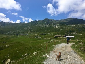 Lou Charmelle Photo #32