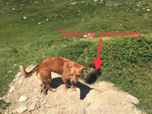 Lou Charmelle Photo #41