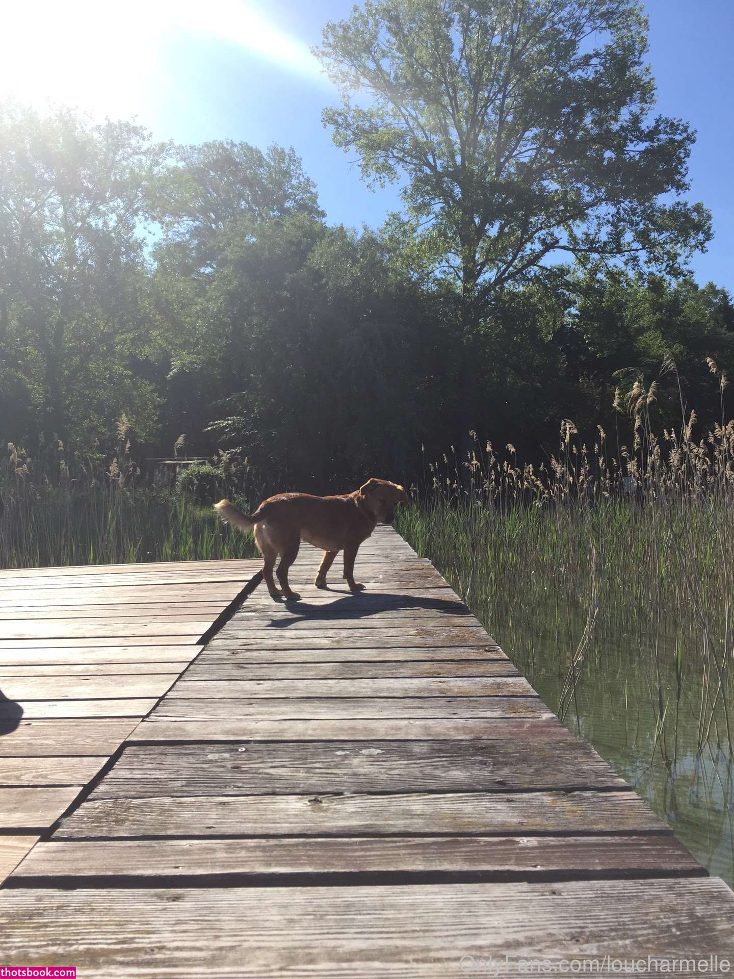 Lou Charmelle Photo #112