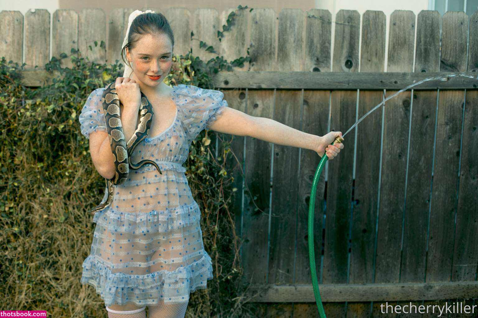 thestrawberrybutcher Photo #61