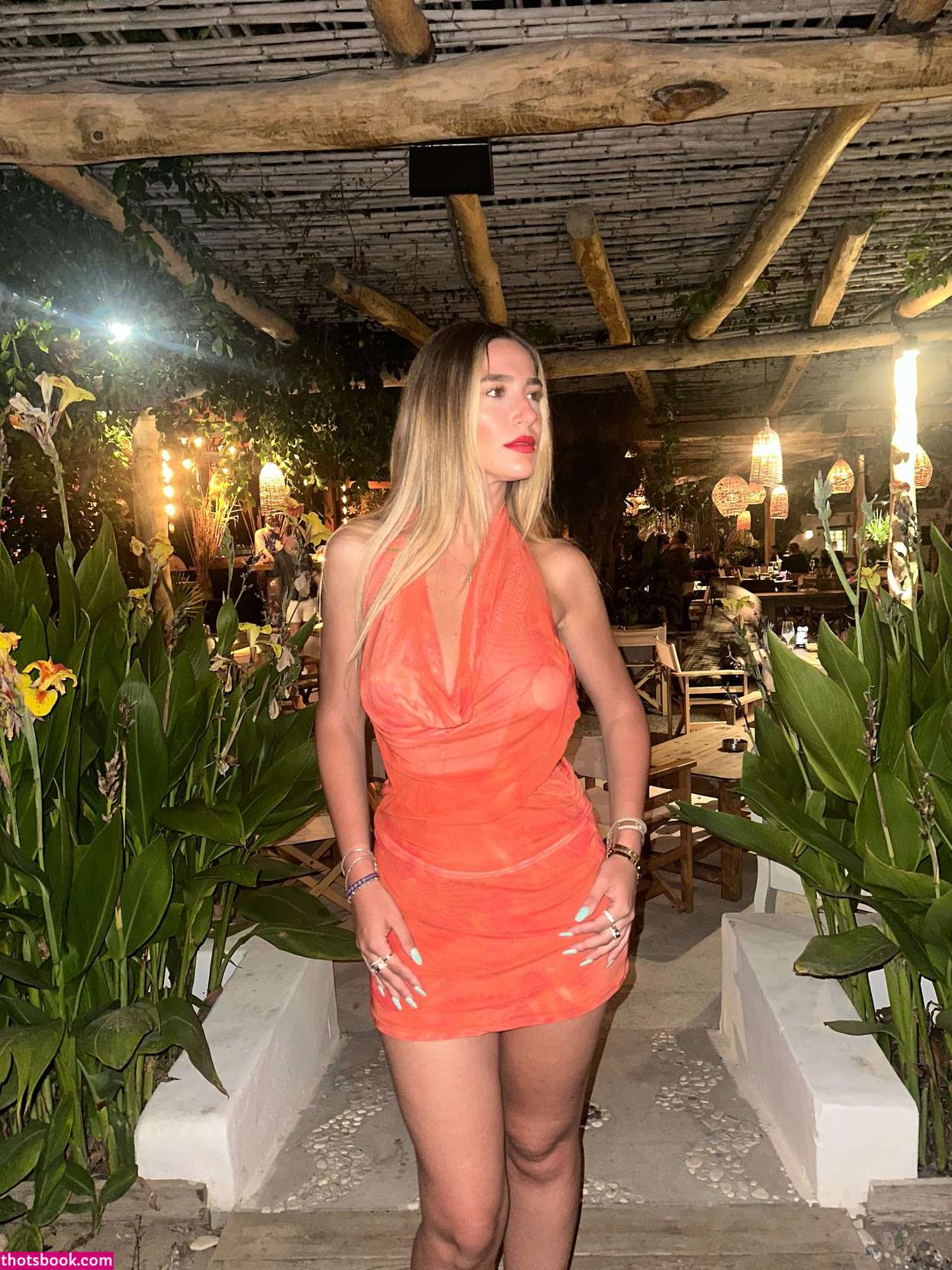 redgaudinse Photo #27