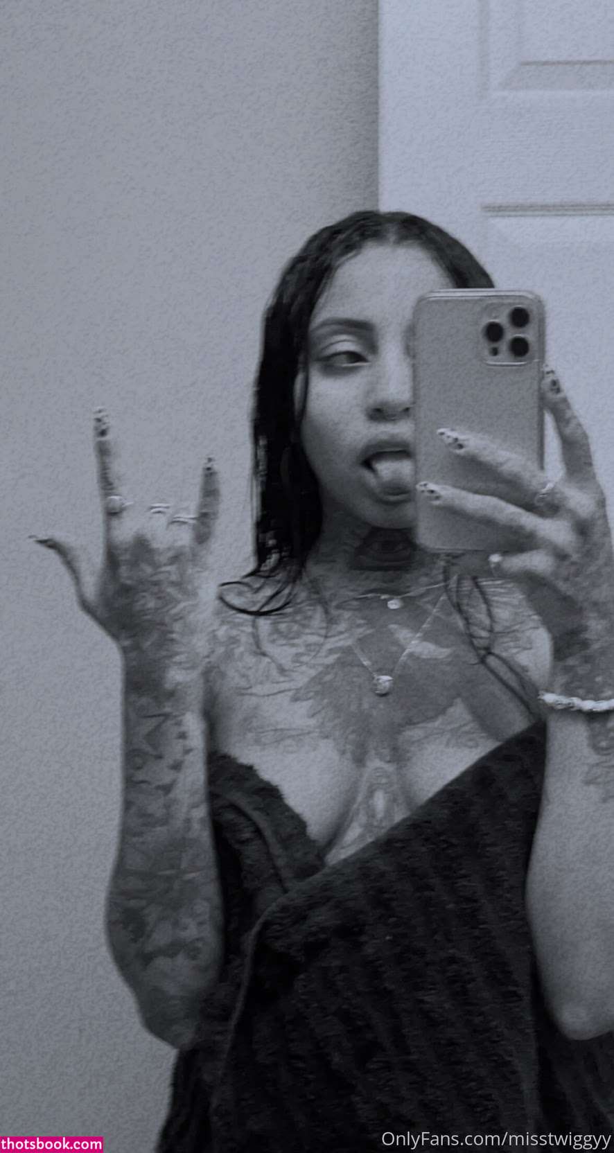 misstwiggyy Photo #8