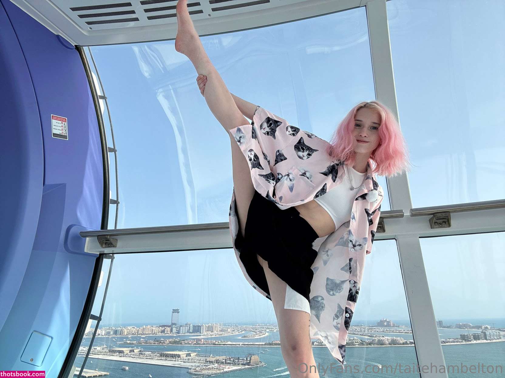 taitehambelton Photo #1