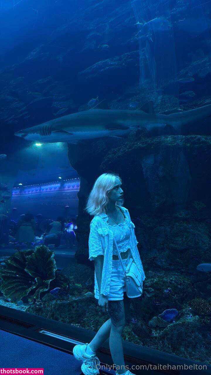 taitehambelton Photo #4