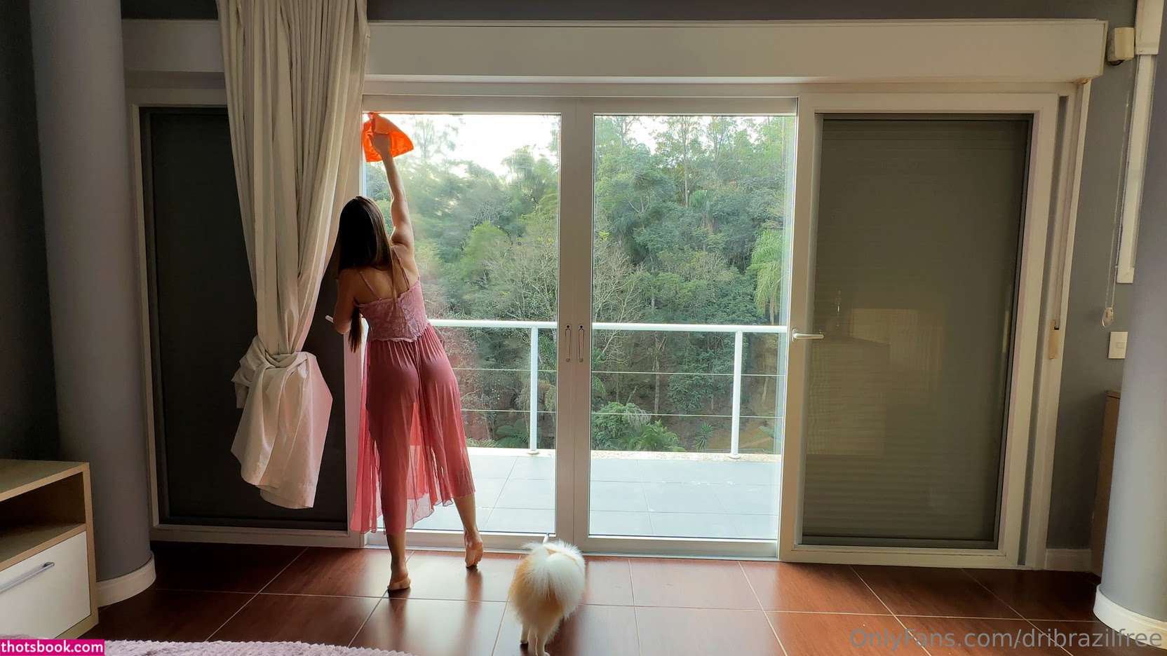 dribrazilfree Photo #8