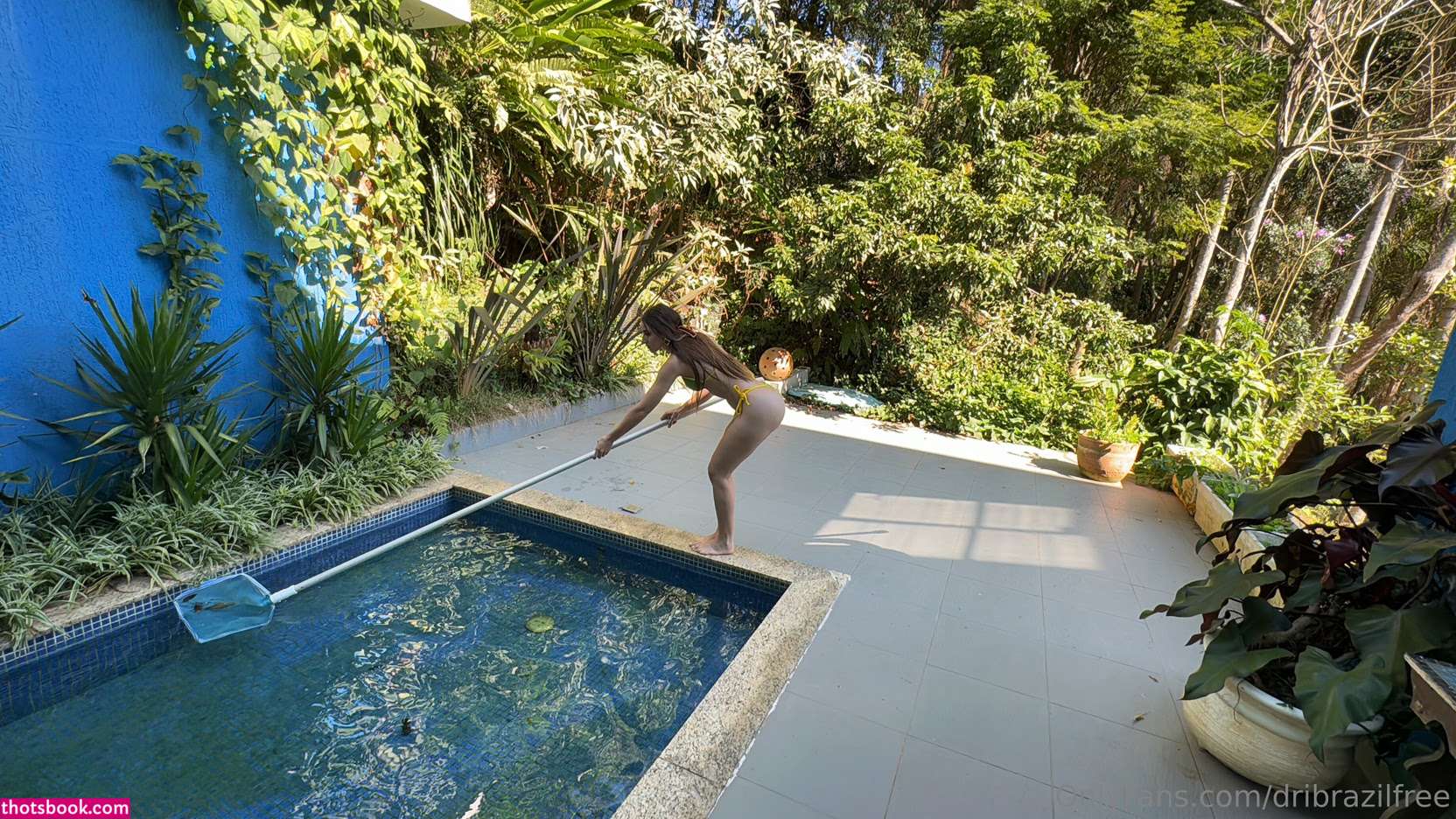 dribrazilfree Photo #28