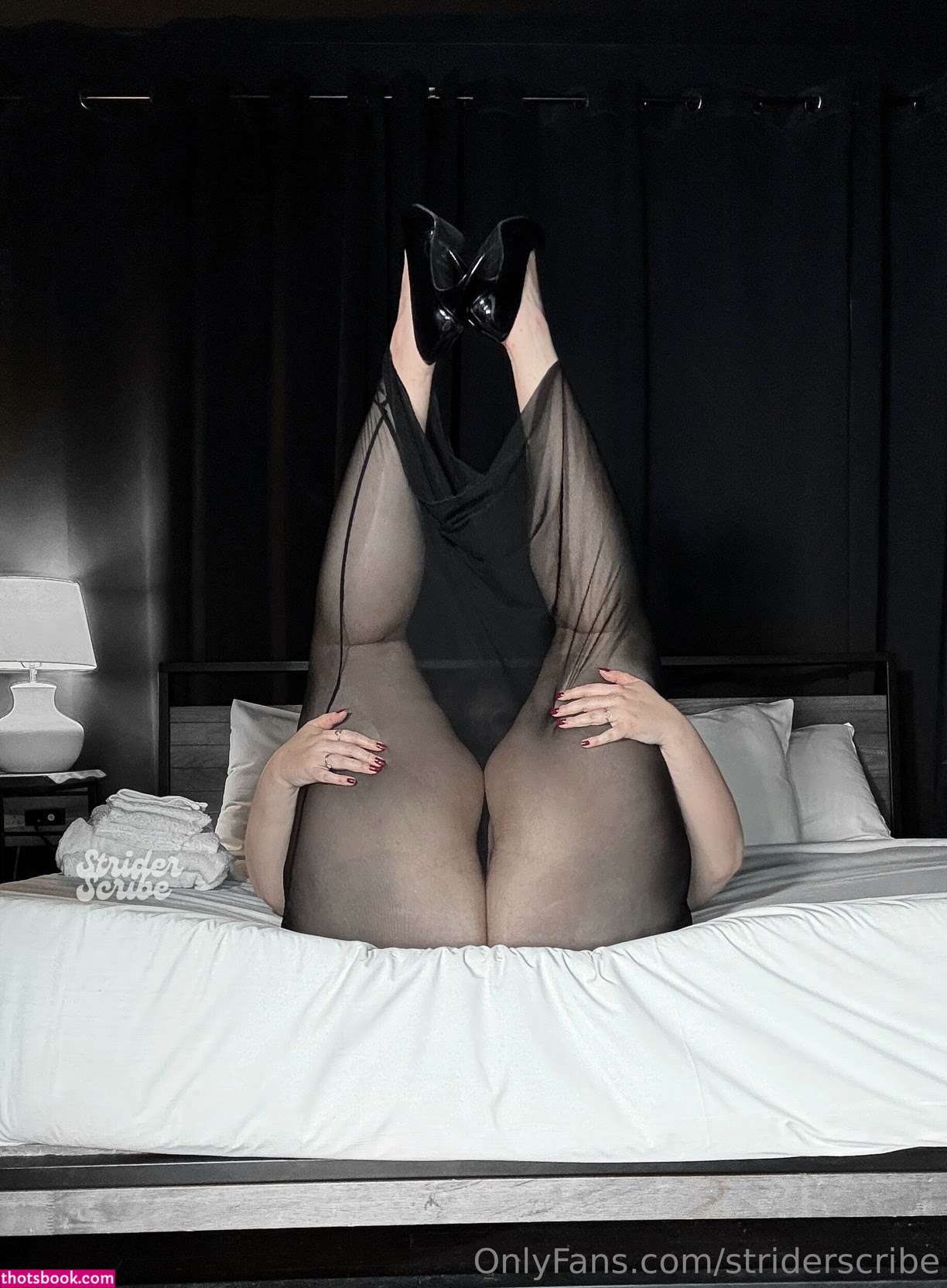 Striderscribe Photo #265