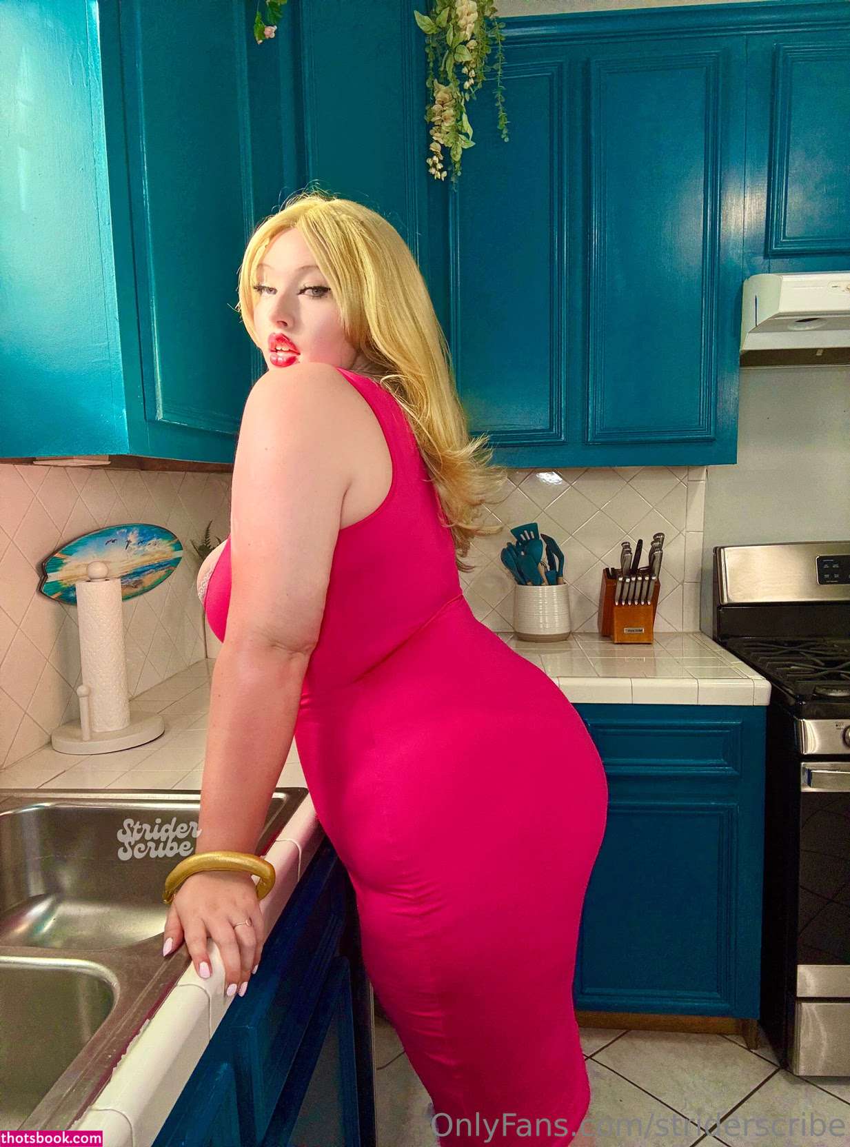 Striderscribe Photo #299