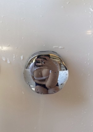 Season 812 Photo #10