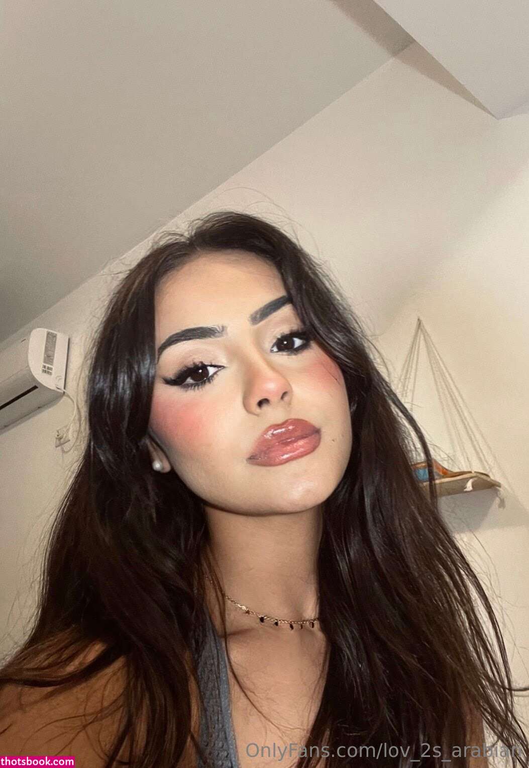 Lov 2S Arabian Photo #12