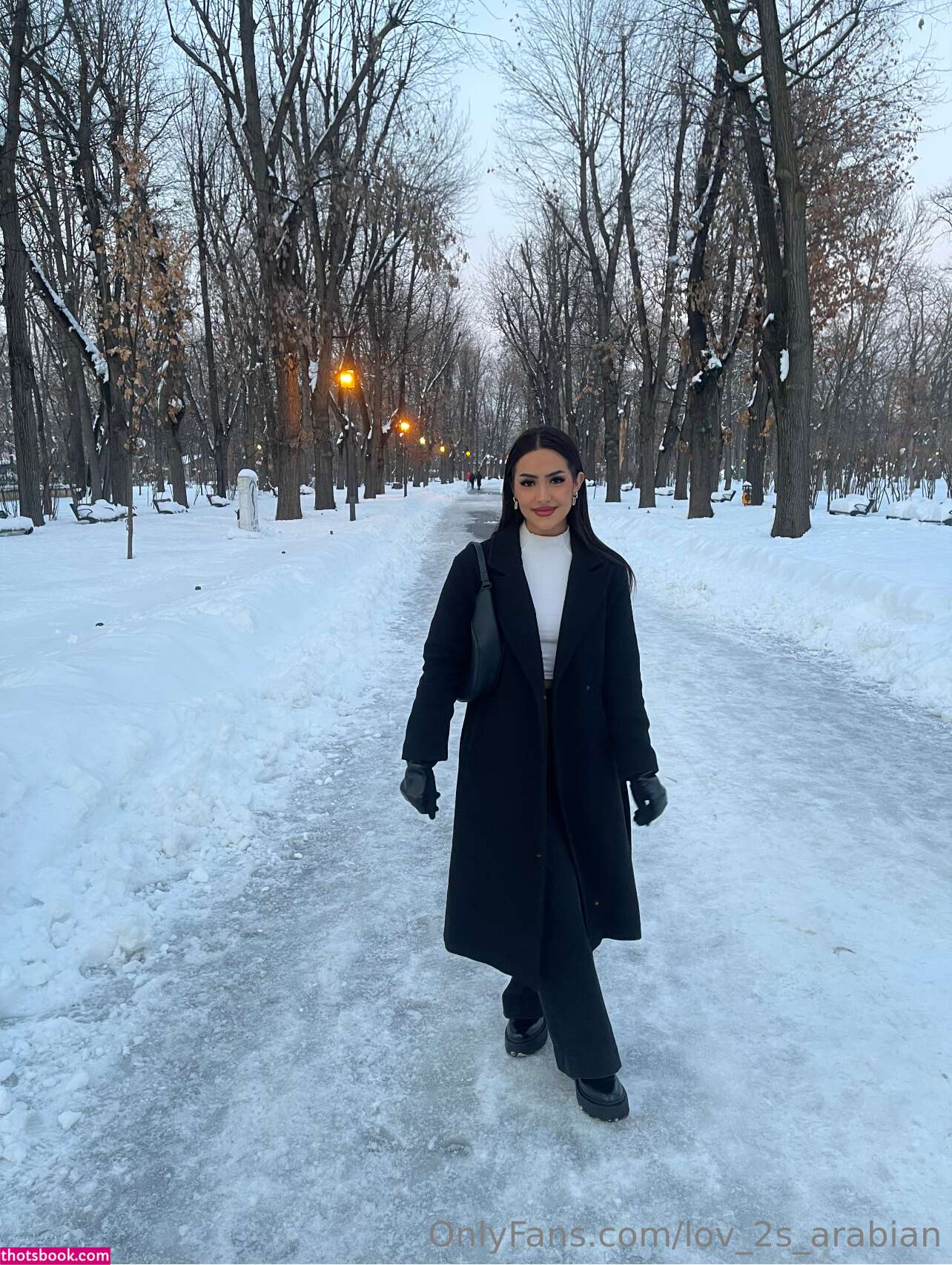 Lov 2S Arabian Photo #23