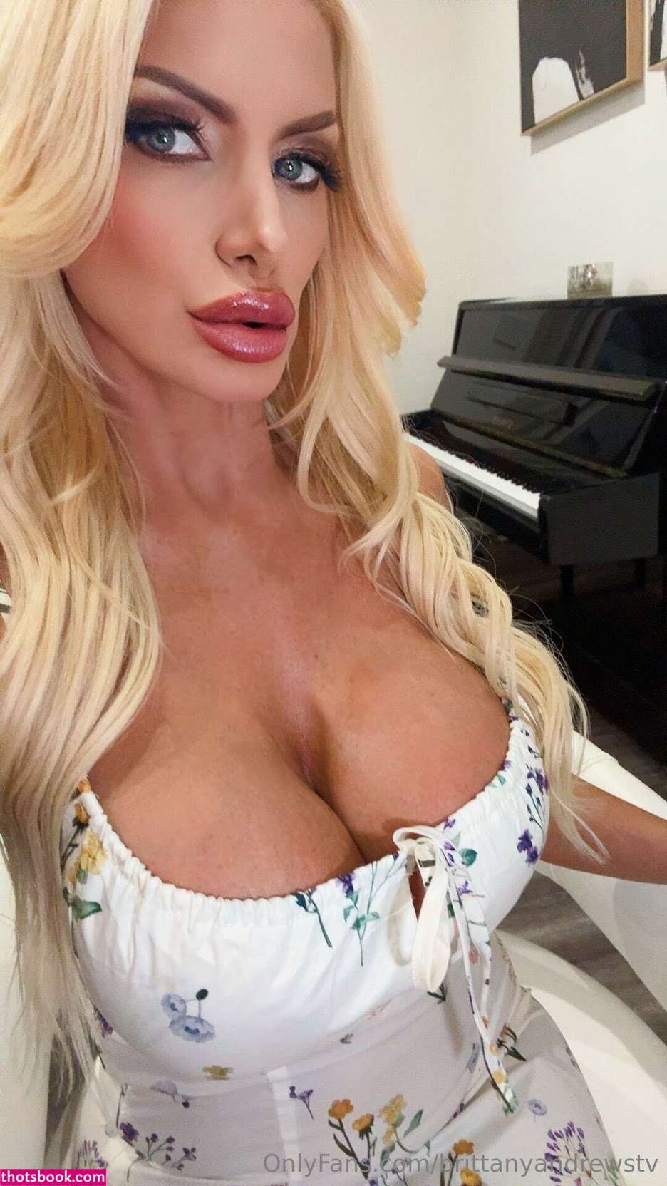 brittanyandrewstv Photo #14