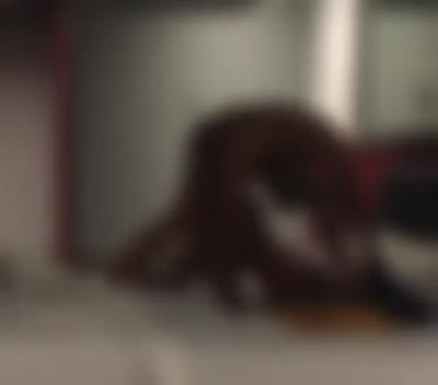 sabinemarielys Post #1