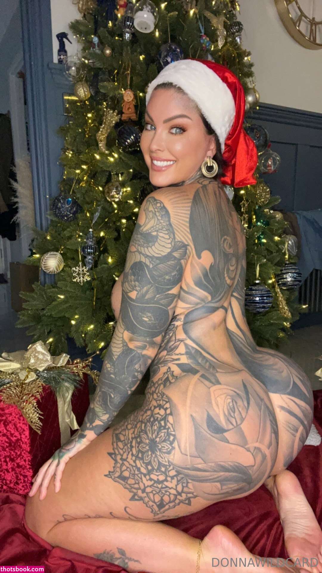 Donna Wildcard Nude OnlyFans Photos #16 669643