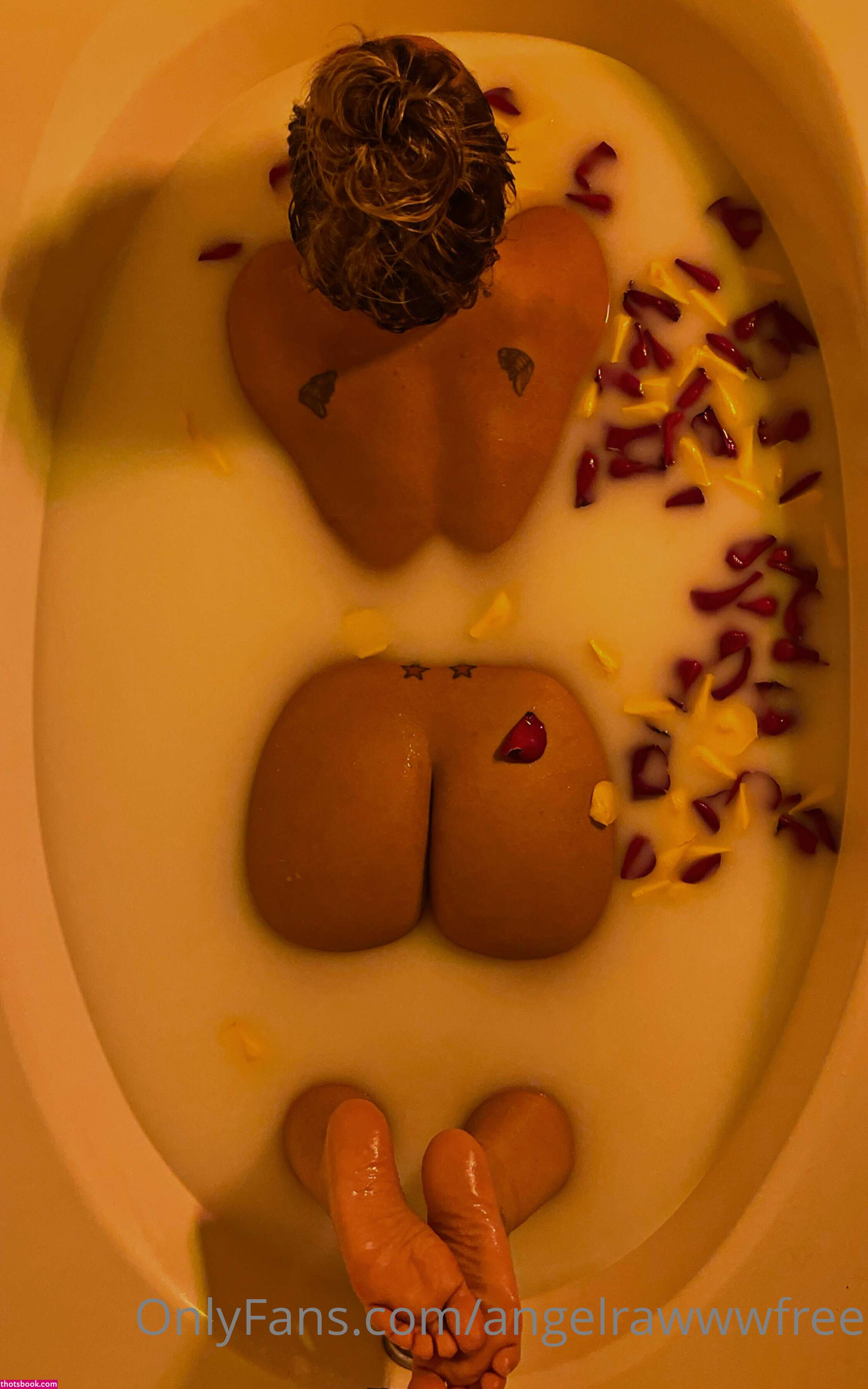 angelrawww Nude OnlyFans Photos #6 964486